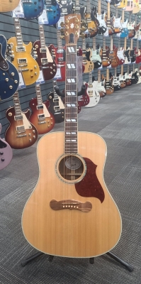 Store Special Product - Gibson - ACSD19ANGH